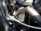 2024 Kawasaki EX500 H