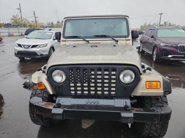 2004 Jeep Wrangler / TJ Rubicon