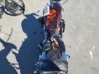 2012 Harley-Davidson XL1200 C