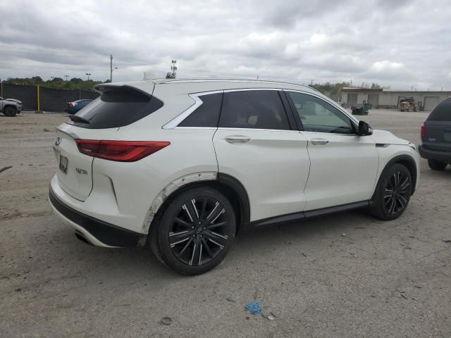 2021 Infiniti QX50 Luxe