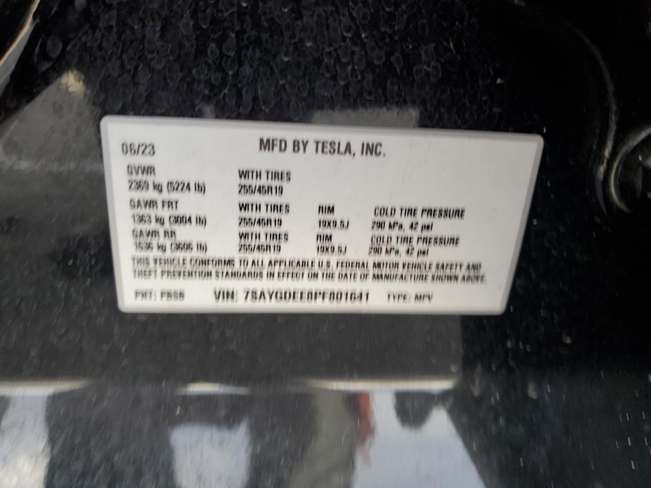2023 Tesla Model y