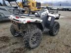 2023 Arctic Cat IC Cat Alterra 600-ATV
