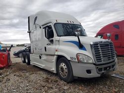 Salvage trucks for sale at Kansas City, KS auction: 2013 Freightliner Cascadia 125