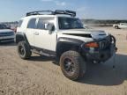 2014 Toyota FJ Cruiser