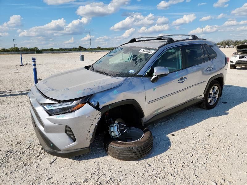 2025 Toyota Rav4 XLE