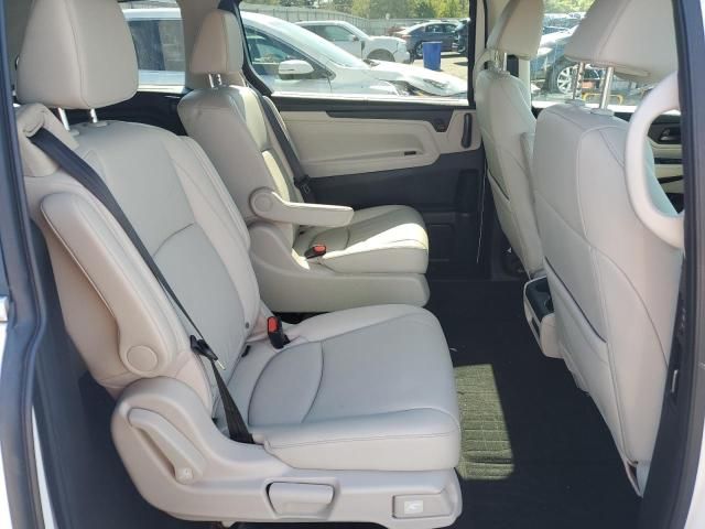 2025 Honda Odyssey EXL