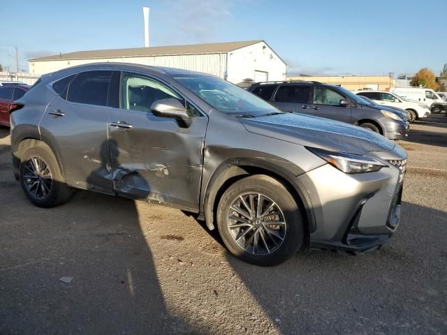 2025 Lexus Nx 250 Base