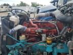 2020 Peterbilt Tractor 2020 Peterbilt 389 Semi Truck