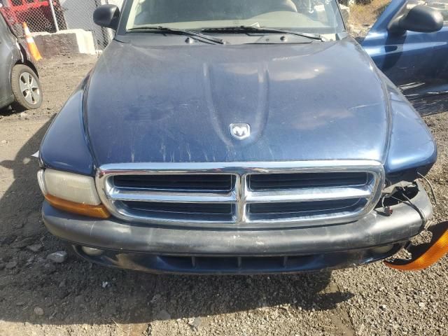 2004 Dodge Dakota Sport