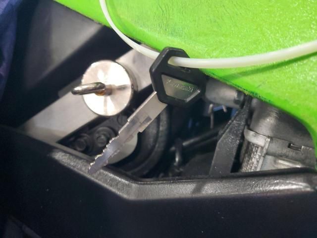 2024 Kawasaki KLX300 F