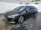 2019 Hyundai Sonata Hybrid