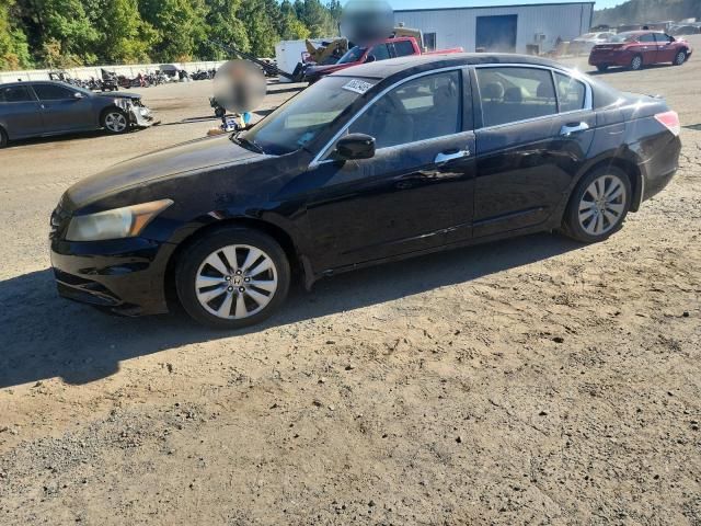 2011 Honda Accord EXL