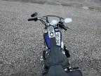 2007 Harley-Davidson Flstc