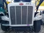 2023 Peterbilt 389
