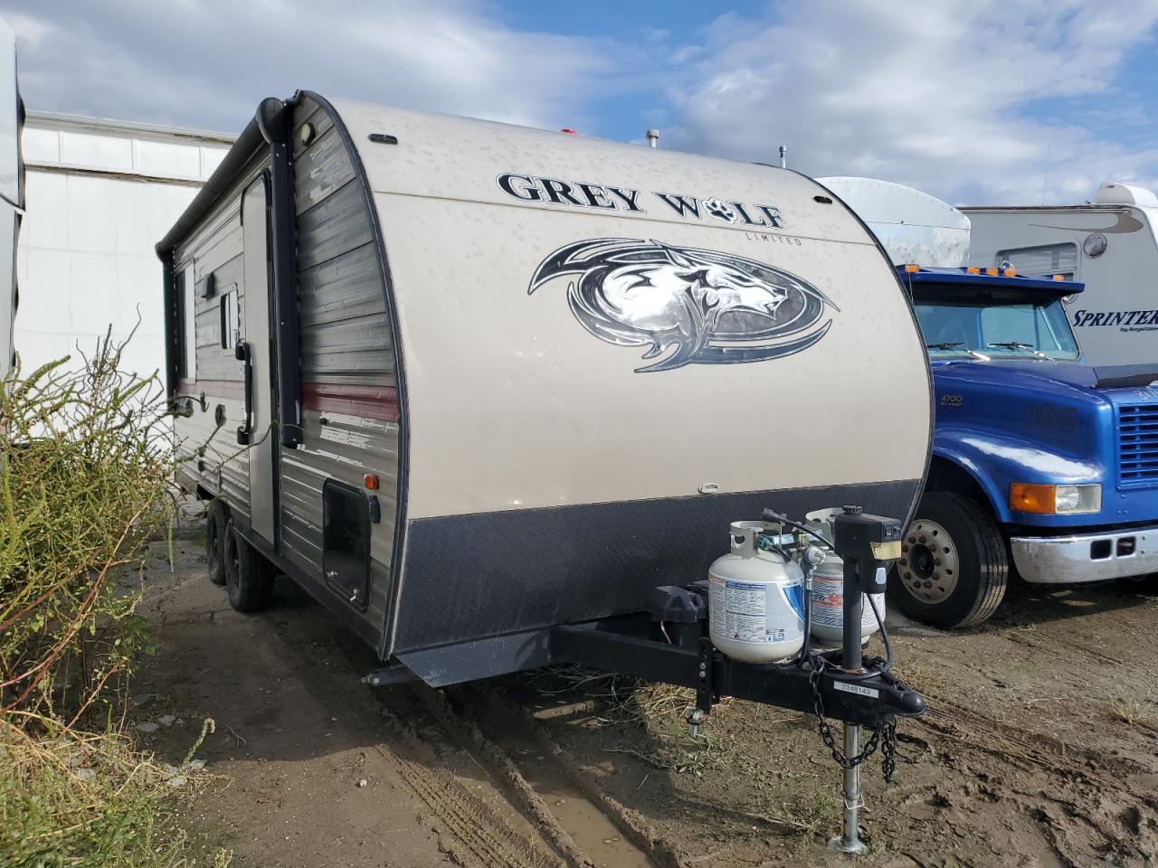 2019 Cherokee By Forest R Greywolf