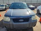 2005 Ford Escape XLT