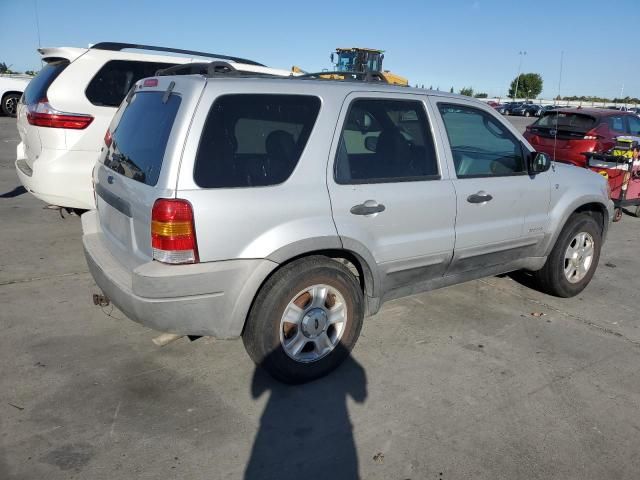 2002 Ford Escape XLT