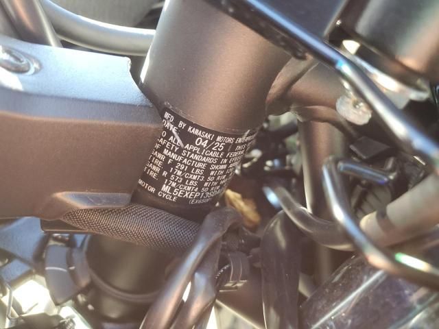 2025 Kawasaki EX650 P