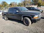 2004 Dodge Dakota Quad Sport