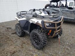Arctic Cat cat atv salvage cars for sale: 2023 Arctic Cat IC Cat Alterra 600-ATV