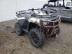 2023 Arctic Cat IC Cat Alterra 600-ATV