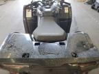 2025 Cf Moto Cforce 400