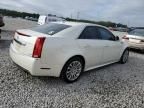 2013 Cadillac CTS Performance Collection