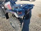 2024 Honda TRX520 FM