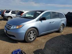 2011 Honda Odyssey exl for sale in Elgin, IL
