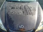 2002 Lexus ES 300