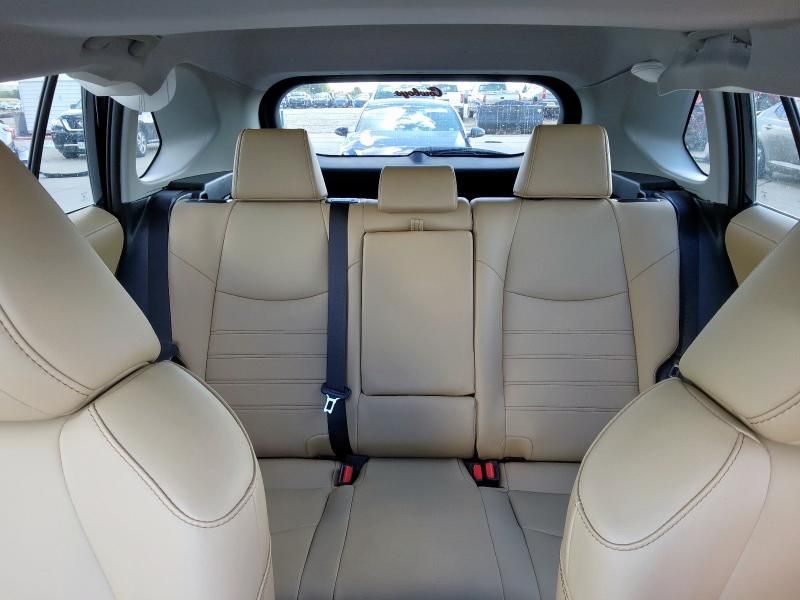 2025 Toyota Rav4 XLE Premium