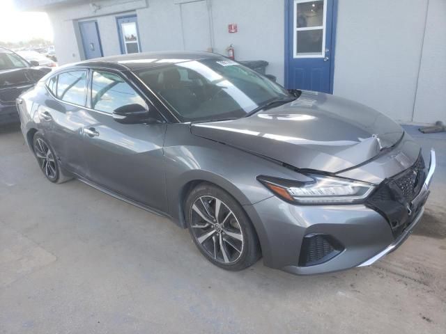 2022 Nissan Maxima sv
