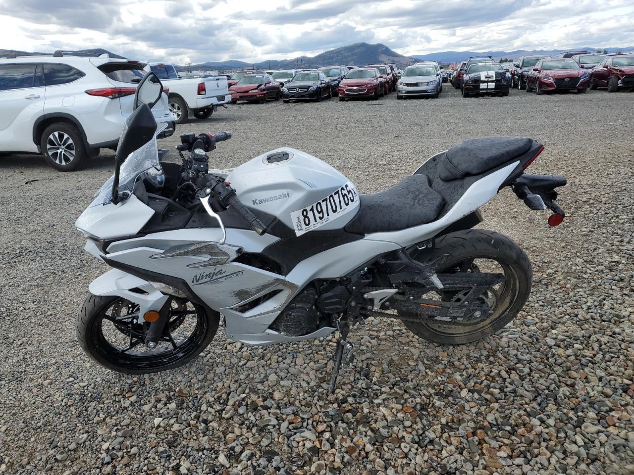 2025 Kawasaki EX500 H