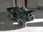 2000 Polaris 2000  Polaris Magnum