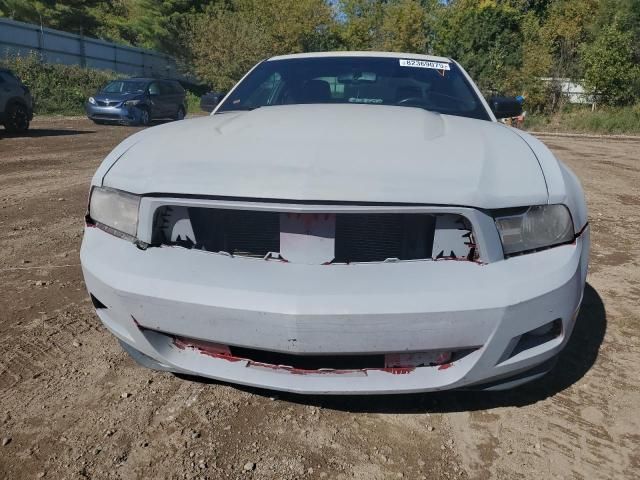 2010 Ford Mustang