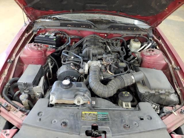 2005 Ford Mustang