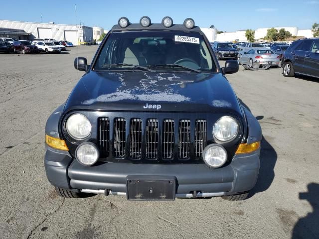 2006 Jeep Liberty Renegade