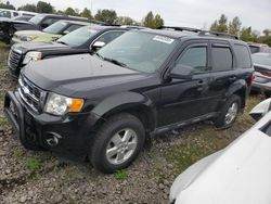 2010 Ford Escape XLT for sale in Portland, OR