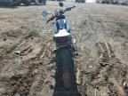 2021 Ducati Scrambler Desert Sled