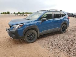 2023 Subaru Forester Wilderness en venta en Phoenix, AZ