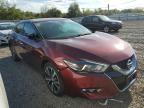 2016 Niss An Maxima 3.5s