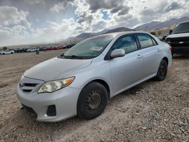 2011 Toyota Corolla Base