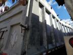 2010 Cobra Cobra