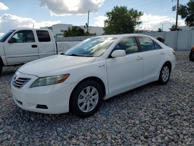 2009 Toyota Camry Hybrid