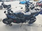 1998 Honda CBR1100 XX