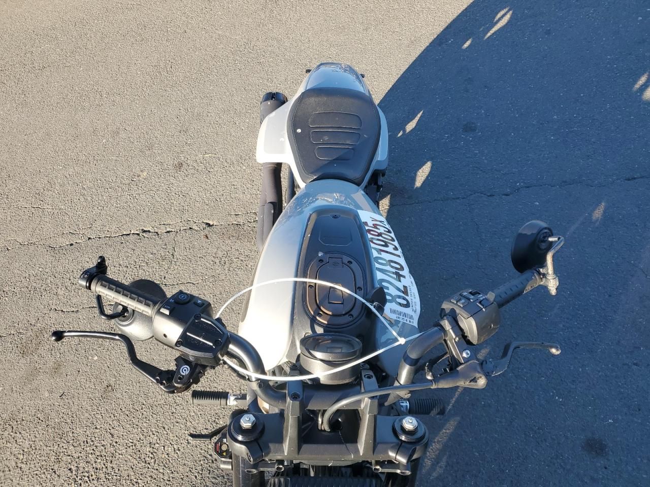 2024 Harley-Davidson RH1250 S