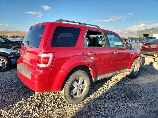 2010 Ford Escape XLT