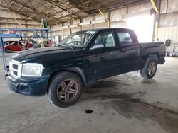 2011 Dodge Dakota SLT for sale in Phoenix, AZ