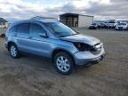 2007 Honda Cr-v exl