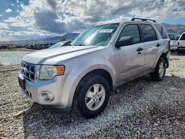 2012 Ford Escape XLT